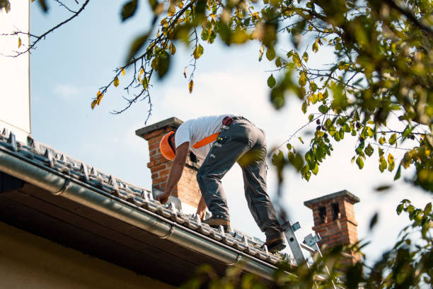 Best Gutter Installation and Roofing  in Medford, NY